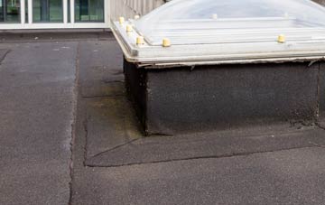 disadvantages of Tealing flat roofs