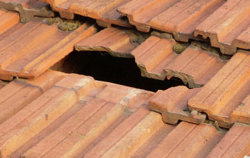 roof repair Tealing, Angus