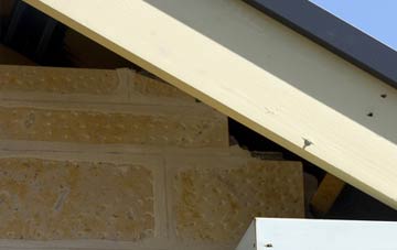 soffit repair Tealing