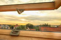 rated Tealing roof window companies